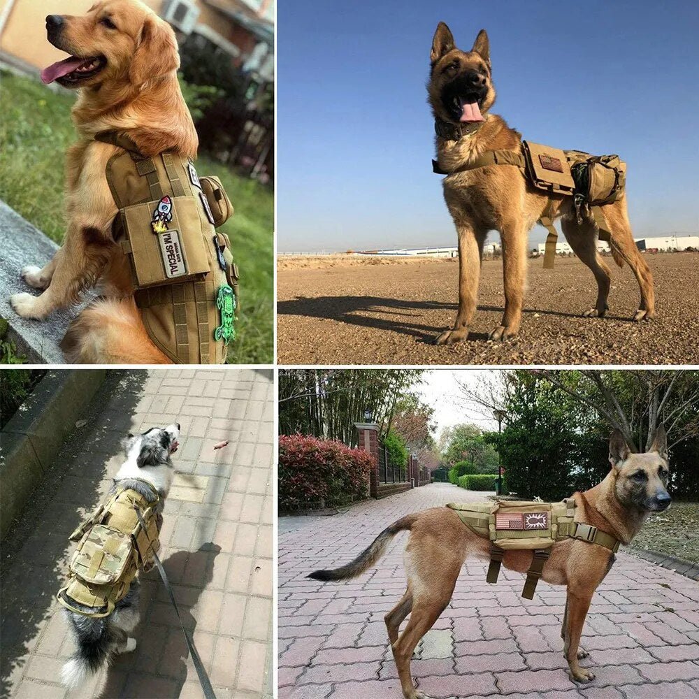 K9 Harness & Collar Patches - Military Overstock